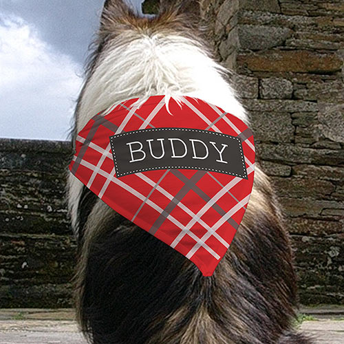 Personalized Plaid Pet Bandana U990952