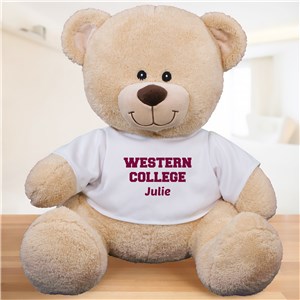 Personalized School Spirit Teddy Bear | Personalized Graduation Bear