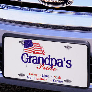 USA Pride License Plate