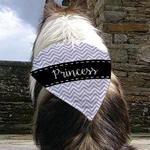 Personalized Chevron Pet Bandana | Personalized Pet Bandana